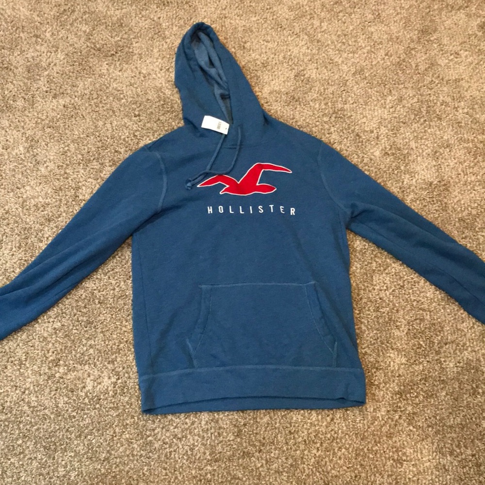 Hollister Light Blue Large Hoodie